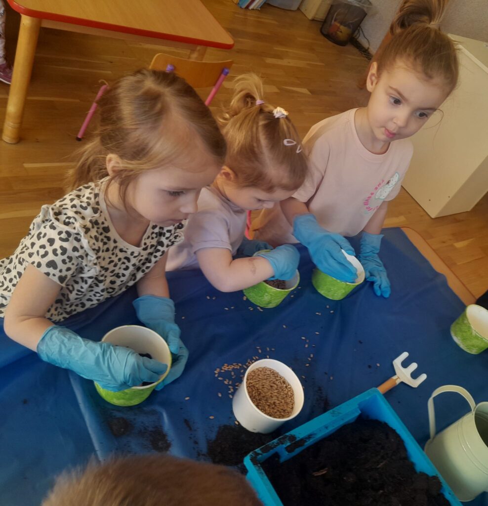 Zakładamy zielony ogródek