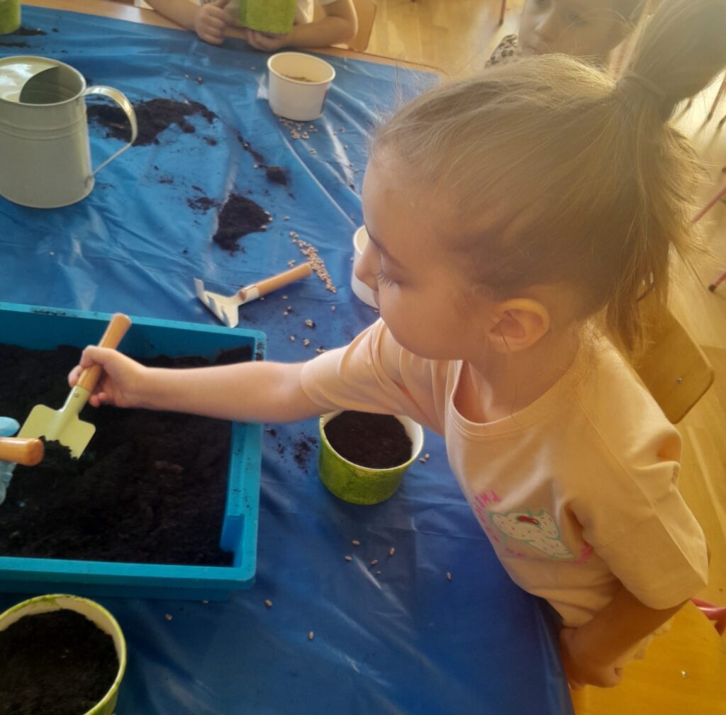 Zakładamy zielony ogródek