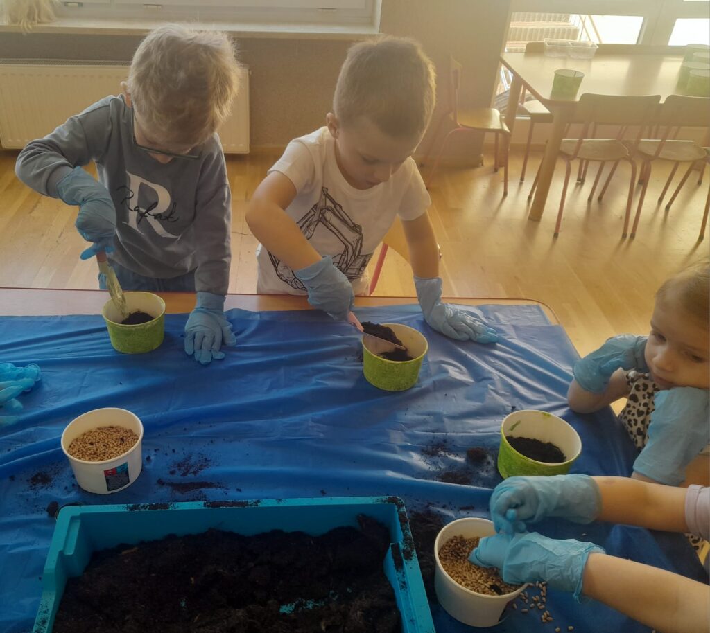 Zakładamy zielony ogródek