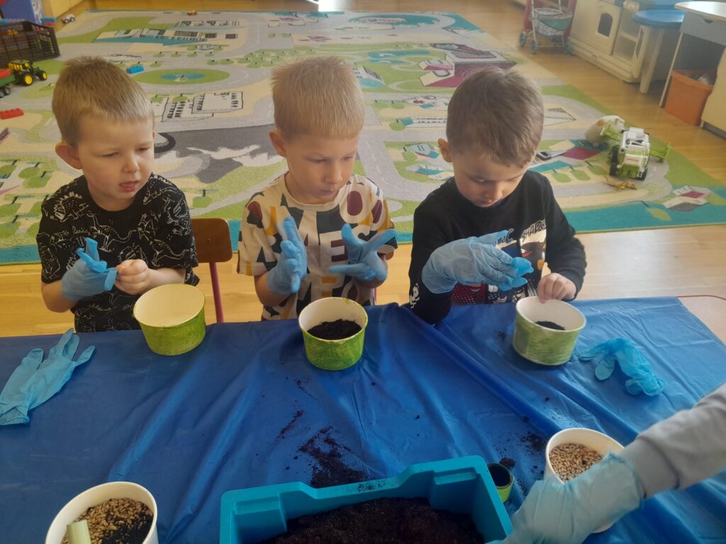 Zakładamy zielony ogródek