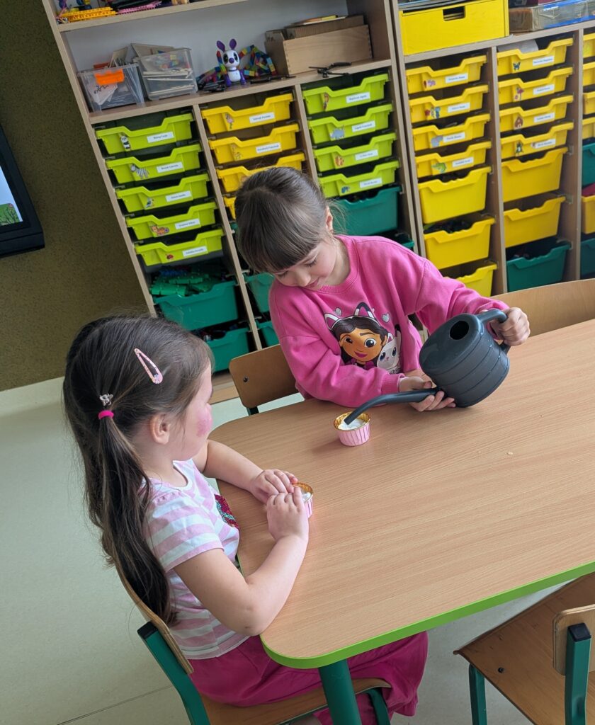 WIOSENNE WYSIEWY U TYGRYSKÓW