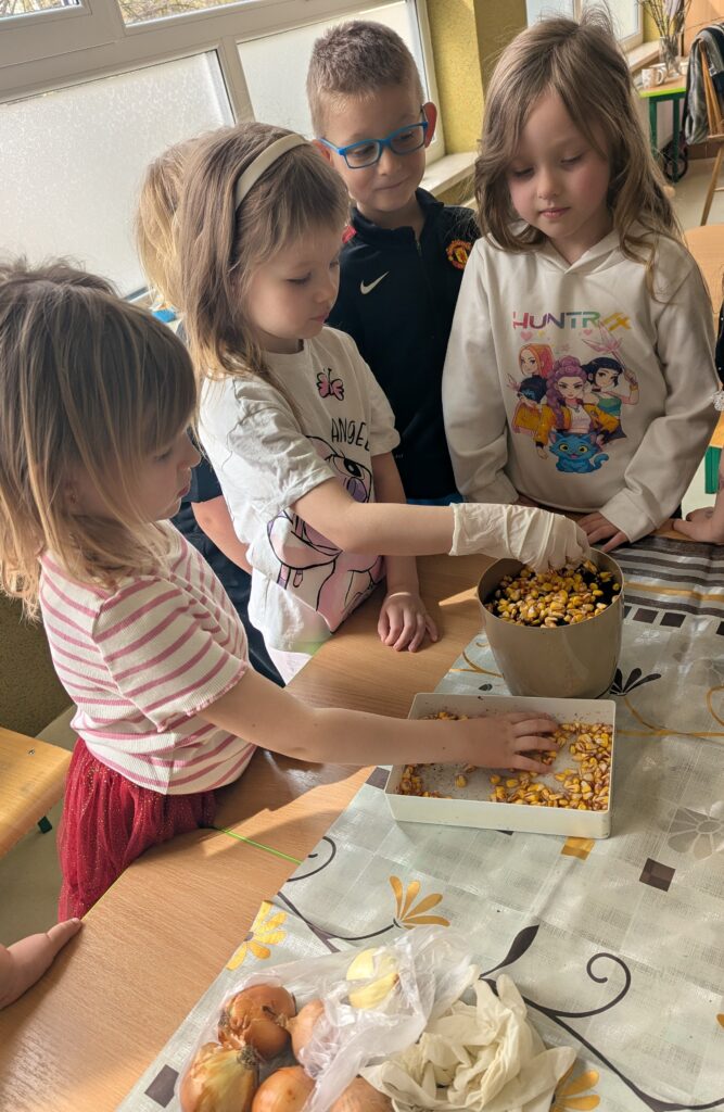 WIOSENNE WYSIEWY U TYGRYSKÓW