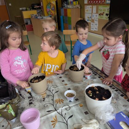 WIOSENNE WYSIEWY U TYGRYSKÓW