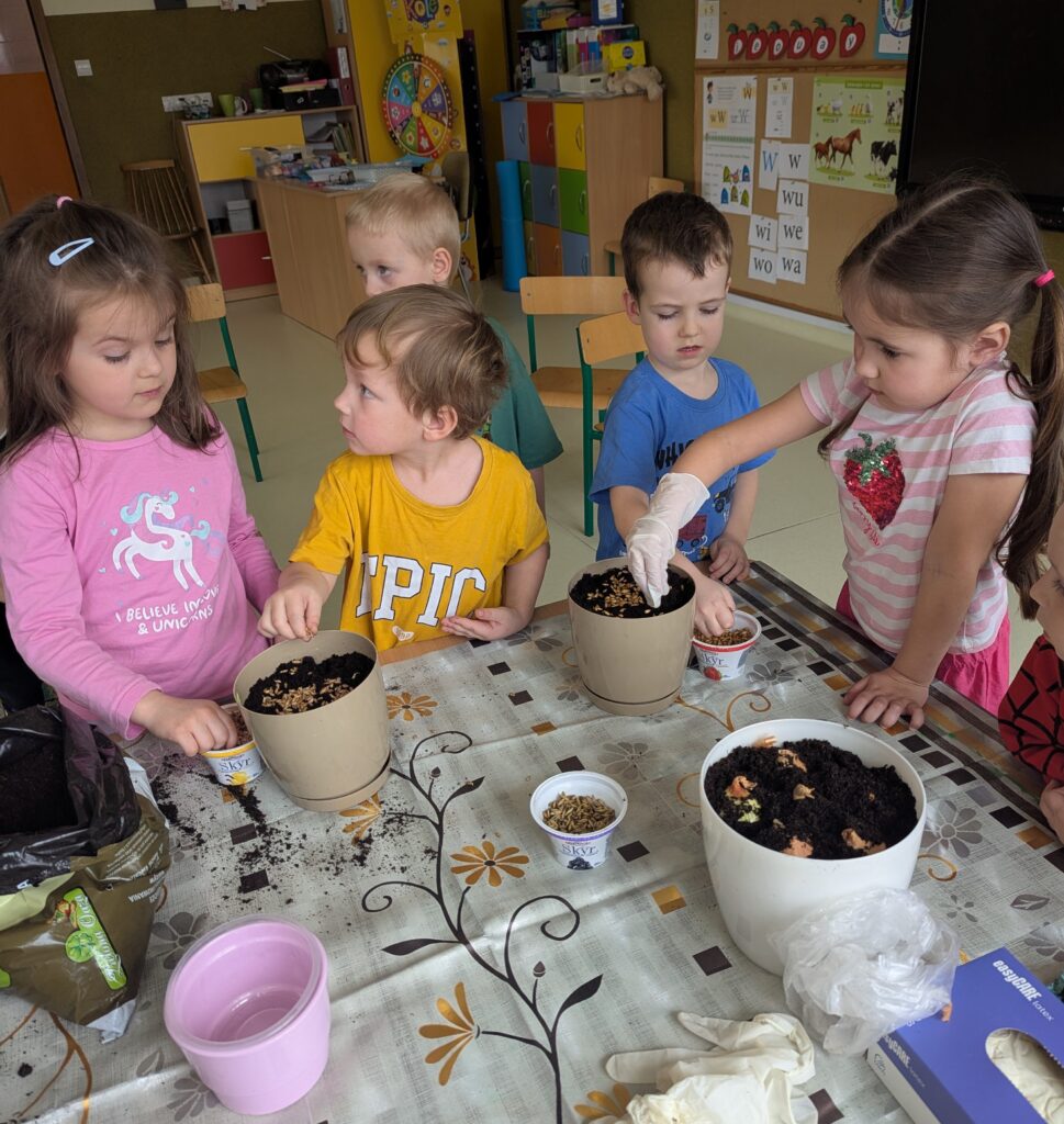 WIOSENNE WYSIEWY U TYGRYSKÓW