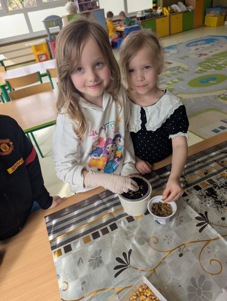 WIOSENNE WYSIEWY U TYGRYSKÓW