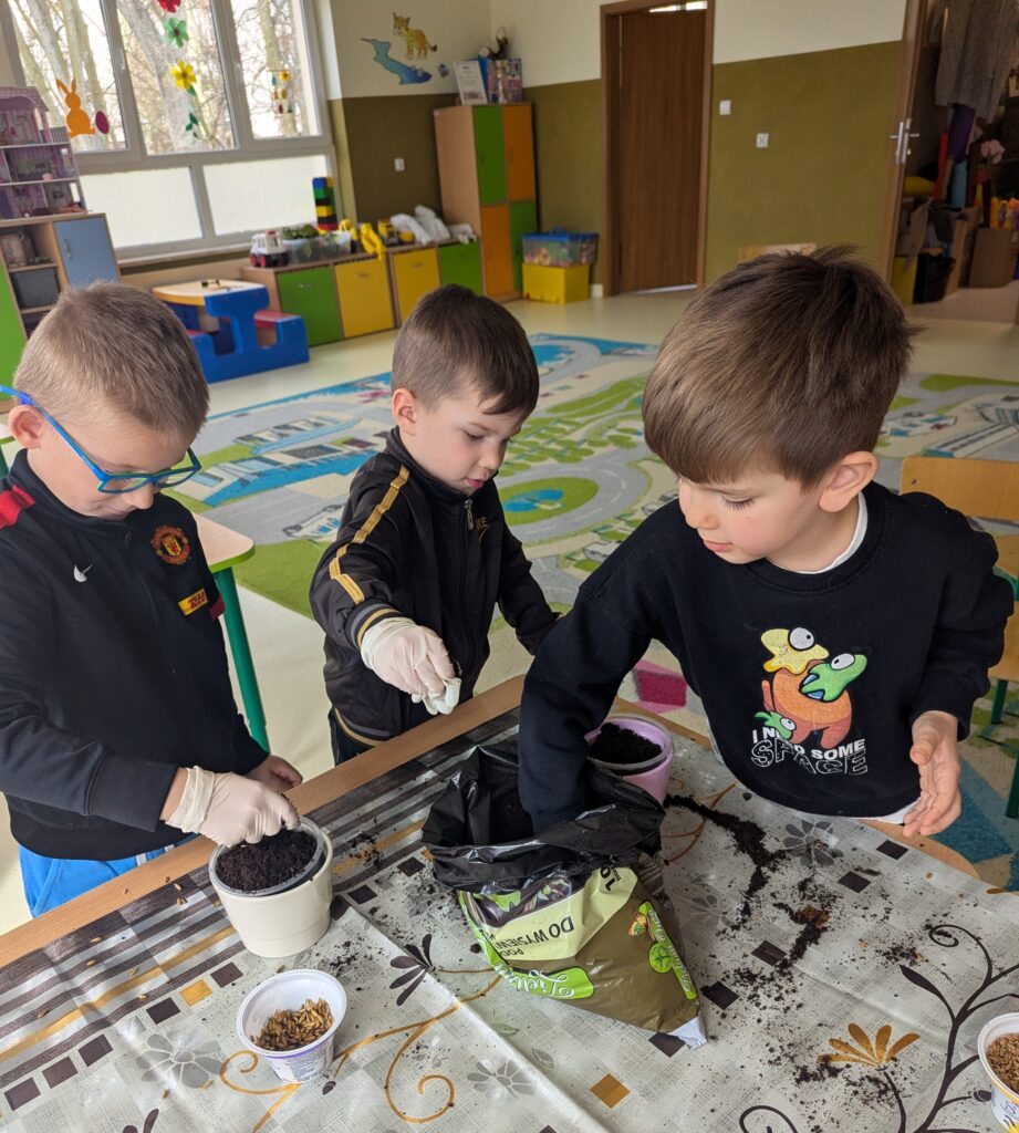 WIOSENNE WYSIEWY U TYGRYSKÓW