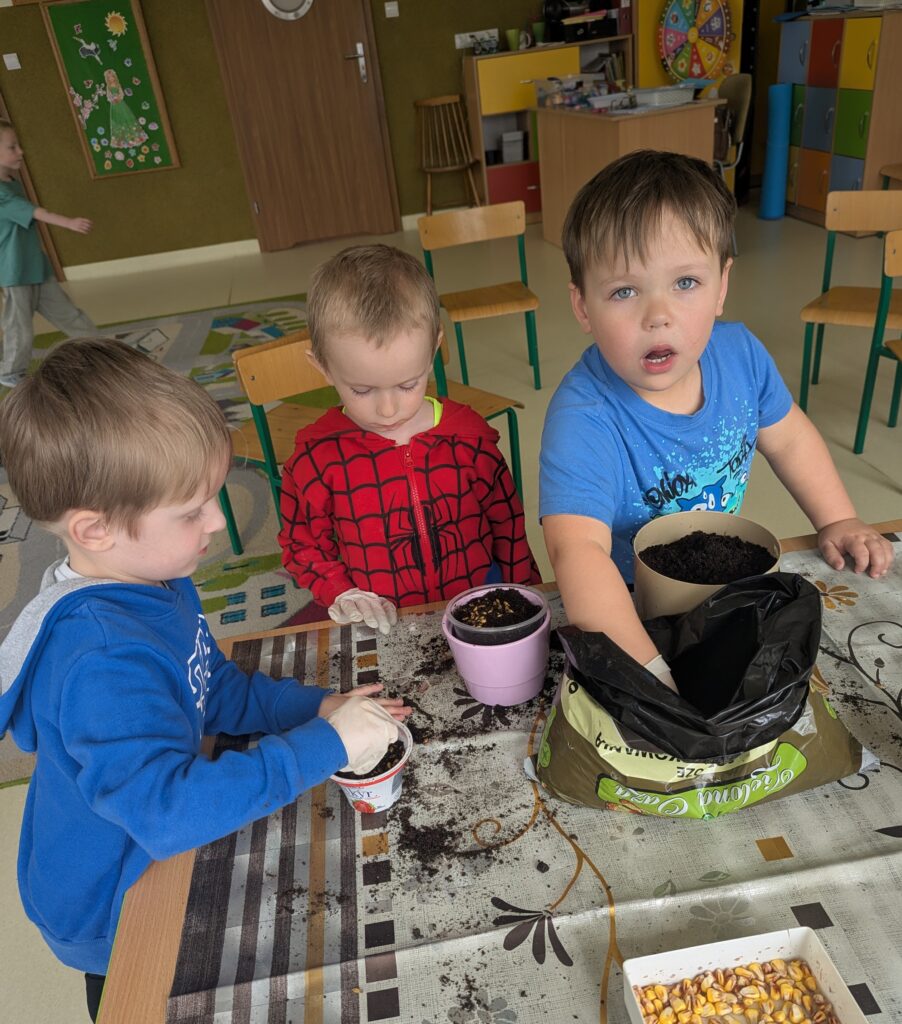 WIOSENNE WYSIEWY U TYGRYSKÓW