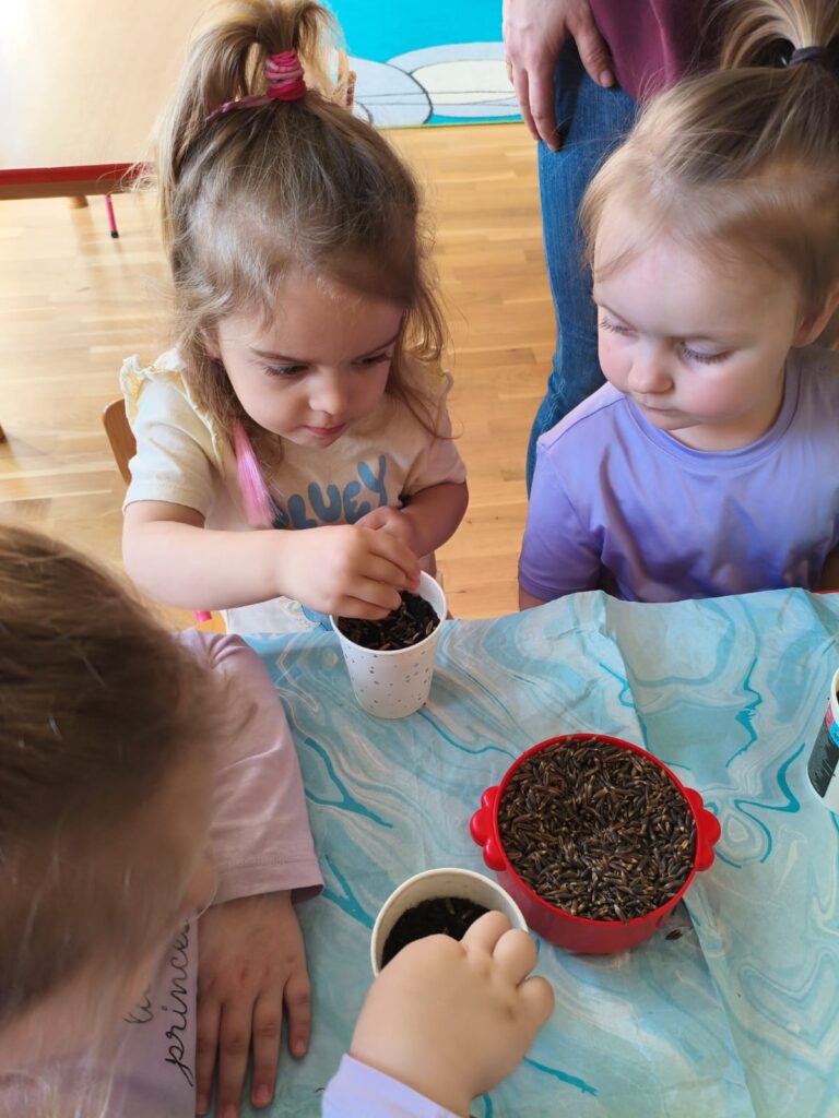 Zielony Ogródek zakładają Misie