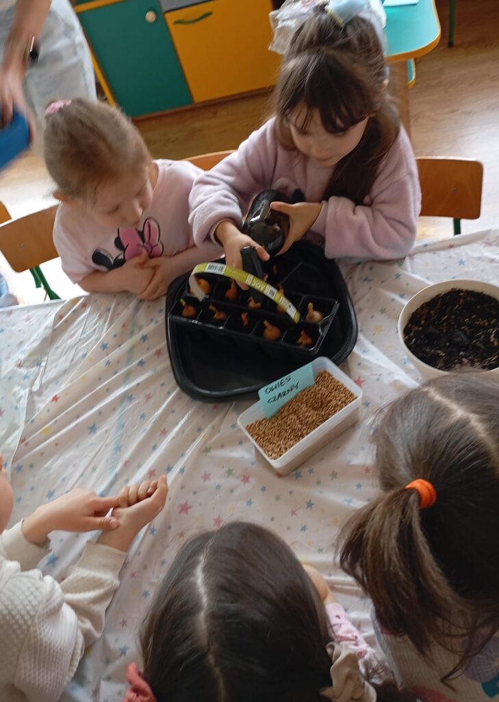 Wiosenne sadzenie w grupie "Pszczółki".