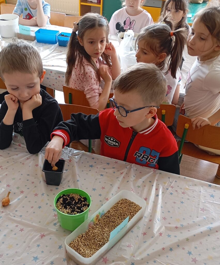 Wiosenne sadzenie w grupie "Pszczółki".