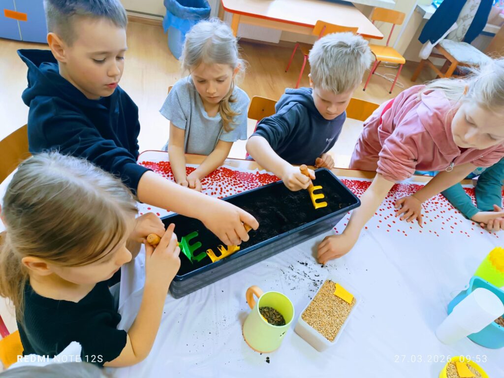 „Motylki” zakładają swój wiosenny ogródek.