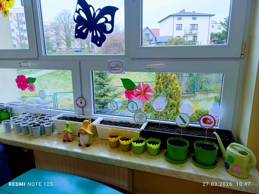 „Motylki” zakładają swój wiosenny ogródek.