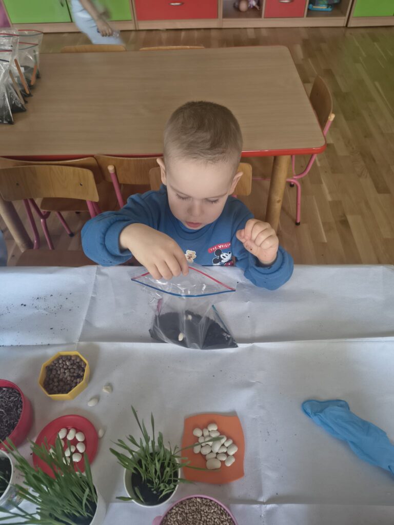 Zielony Ogródek zakładają Misie