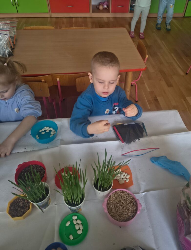 Zielony Ogródek zakładają Misie