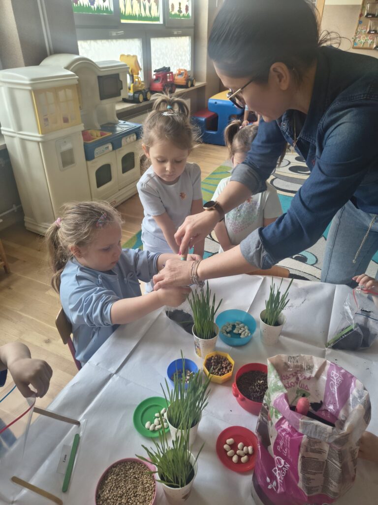 Zielony Ogródek zakładają Misie