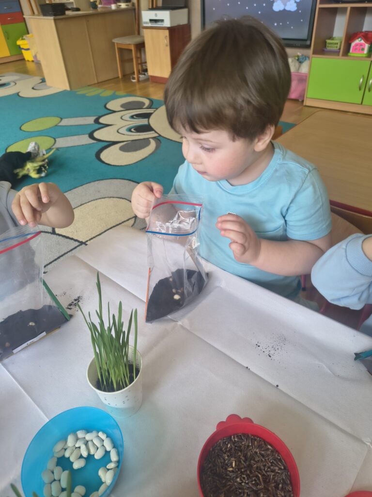 Zielony Ogródek zakładają Misie