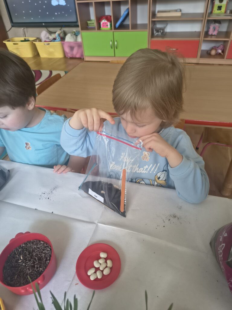 Zielony Ogródek zakładają Misie