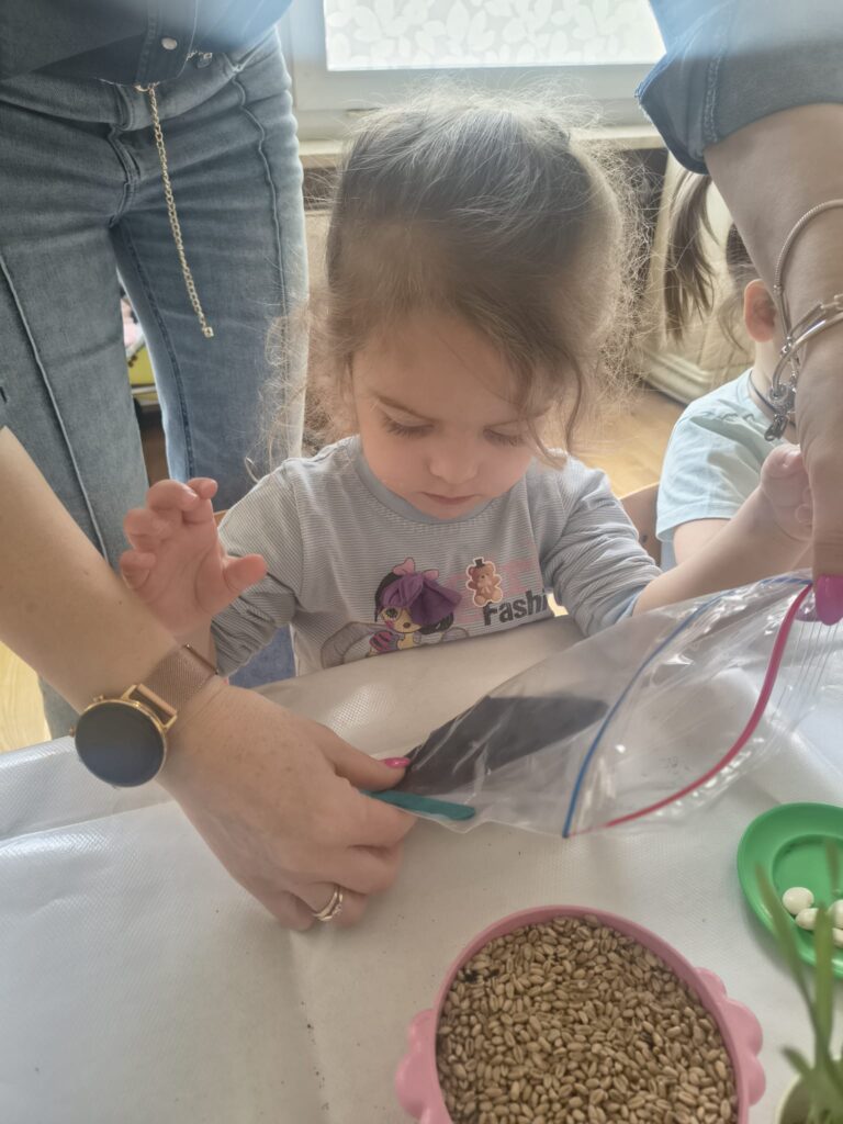 Zielony Ogródek zakładają Misie