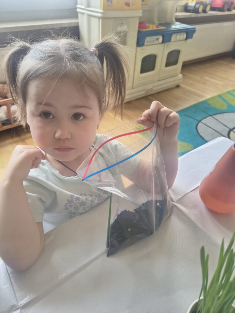 Zielony Ogródek zakładają Misie