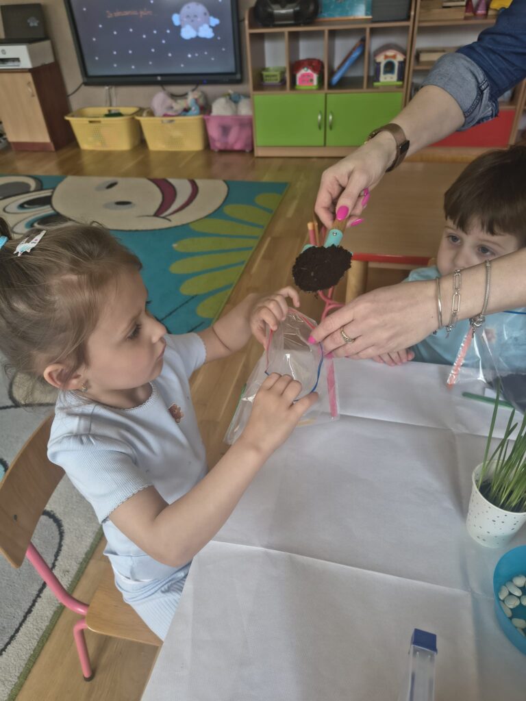 Zielony Ogródek zakładają Misie