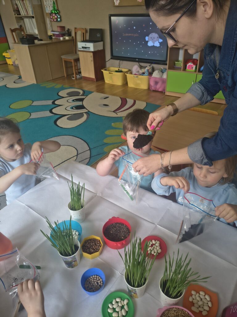 Zielony Ogródek zakładają Misie