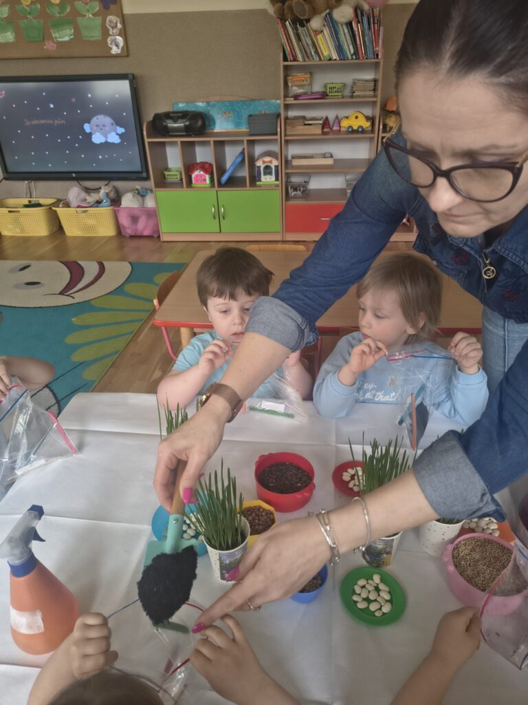 Zielony Ogródek zakładają Misie