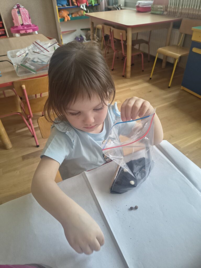 Zielony Ogródek zakładają Misie