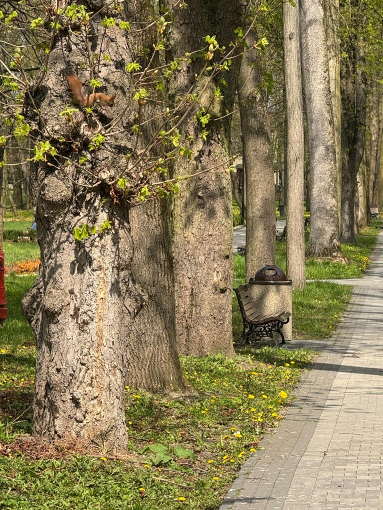 Wiosenny spacer po parku zdrojowym