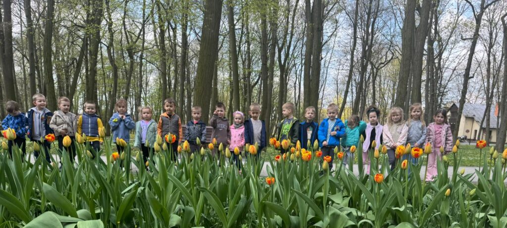Podziwiamy tulipany