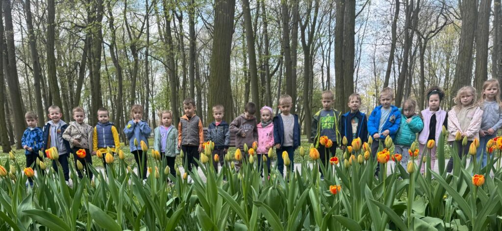 Podziwiamy tulipany