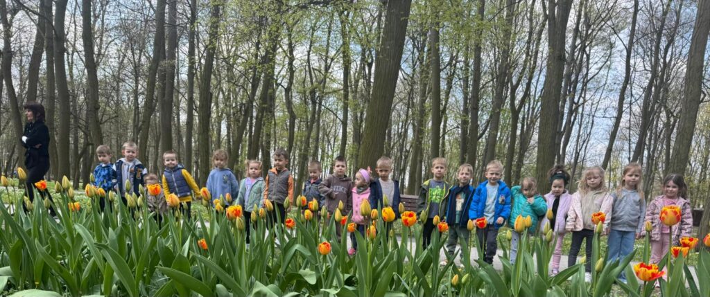 Podziwiamy tulipany