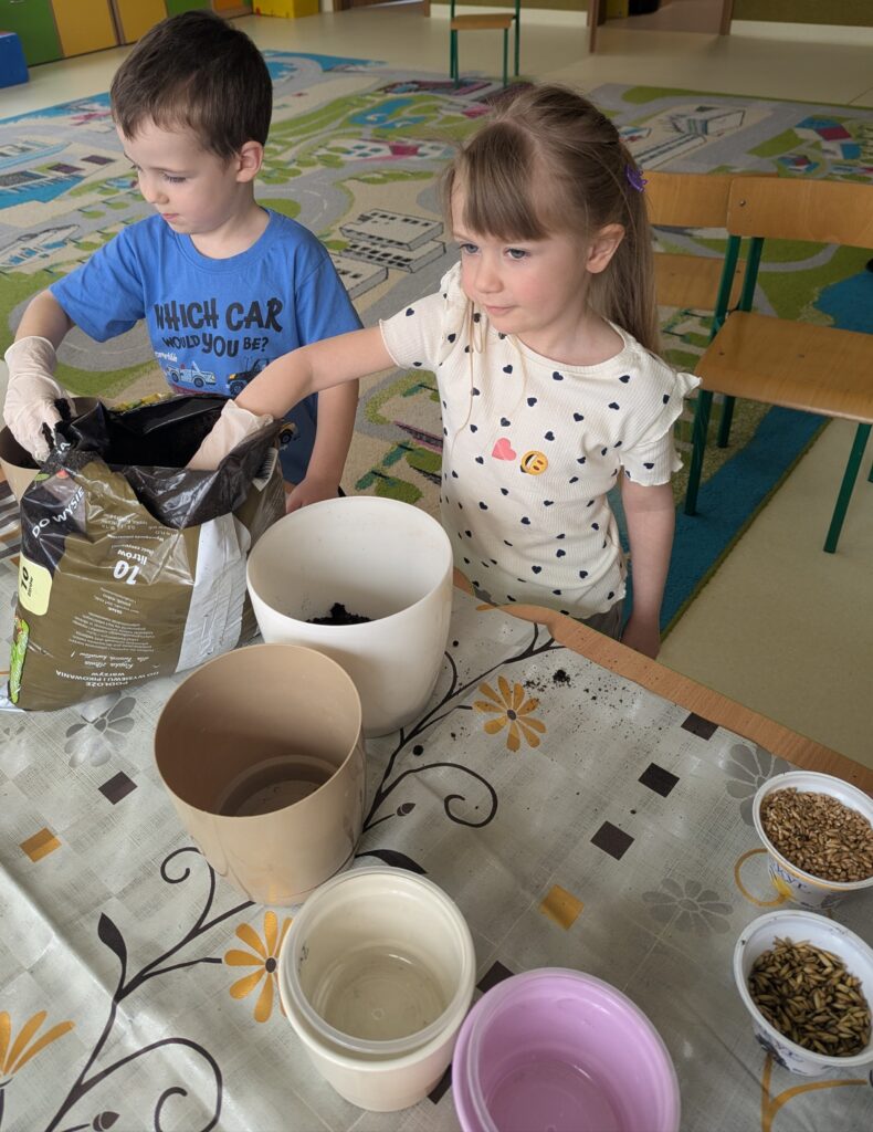 WIOSENNE WYSIEWY U TYGRYSKÓW