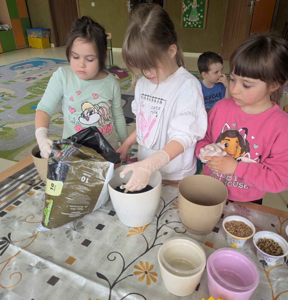 WIOSENNE WYSIEWY U TYGRYSKÓW