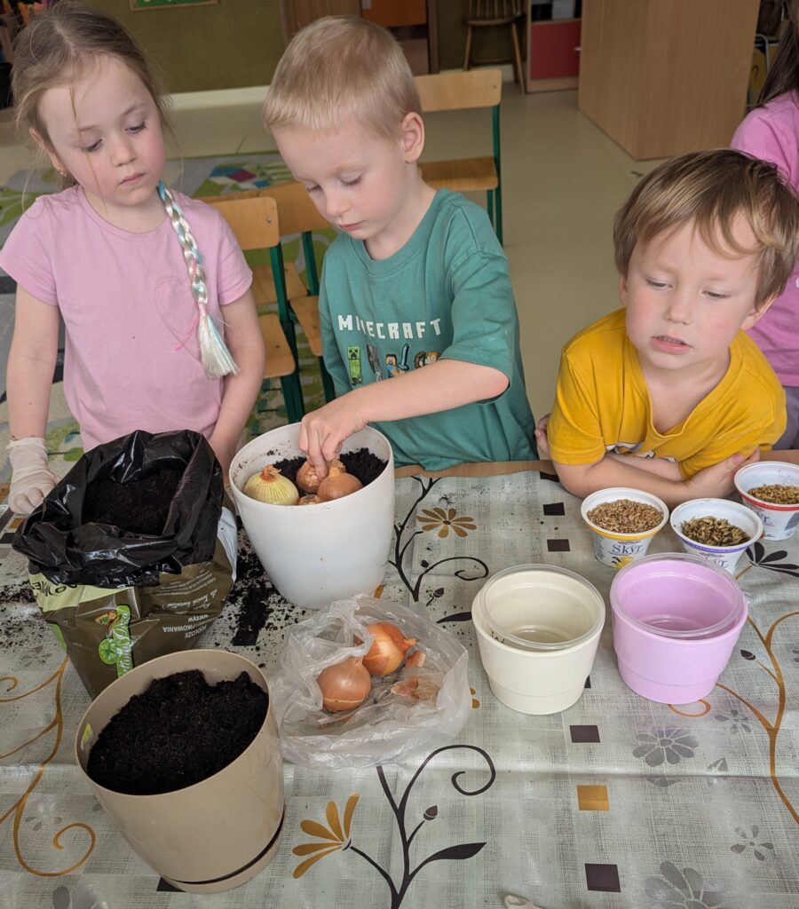 WIOSENNE WYSIEWY U TYGRYSKÓW