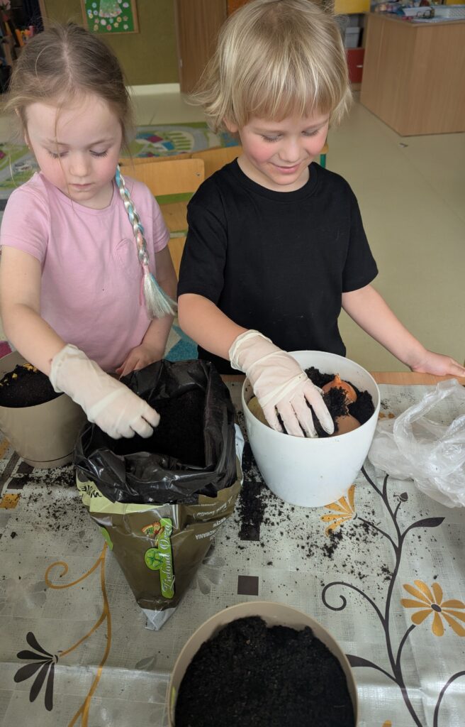 WIOSENNE WYSIEWY U TYGRYSKÓW