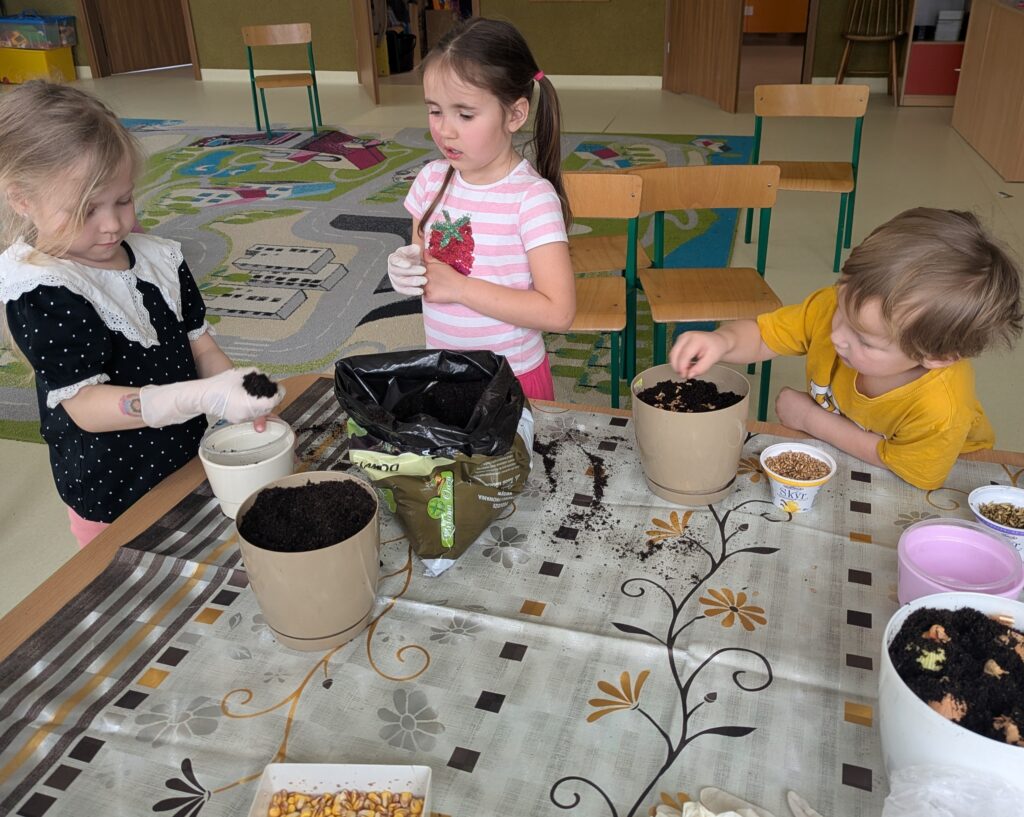 WIOSENNE WYSIEWY U TYGRYSKÓW