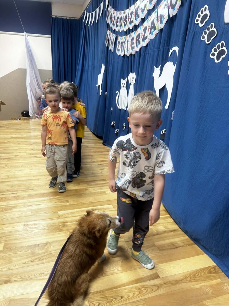PRZEDSZKOLAKI BIEDRONKI DLA ZWIERZAKÓW 