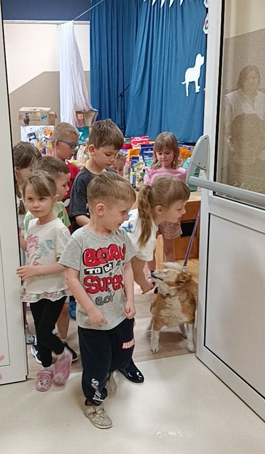 PRZEDSZKOLAKI DLA ZWIERZAKÓW"- GRUPA TYGRYSKI