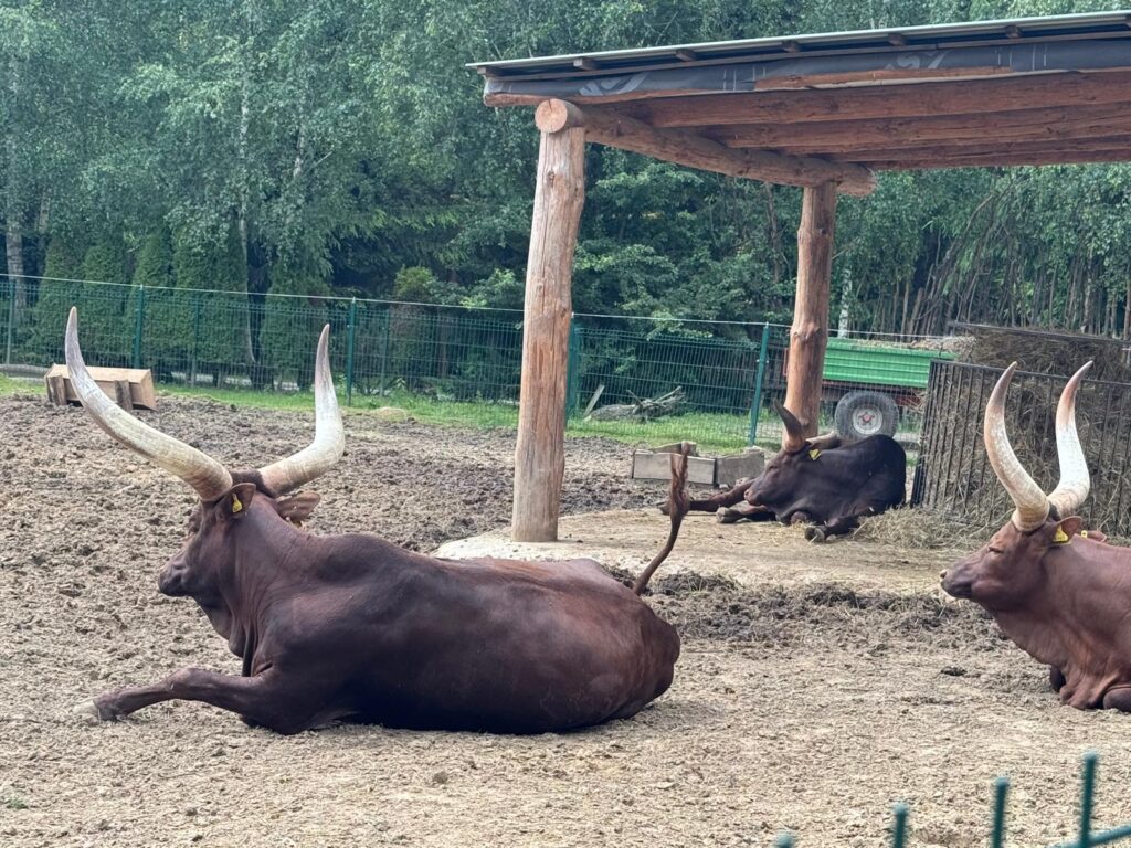 Wycieczka ,,LEŚNE ZACISZE''.