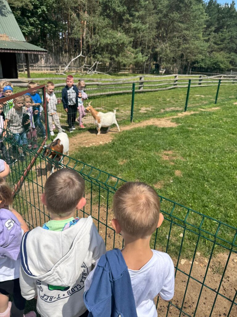 Wycieczka ,,LEŚNE ZACISZE''.