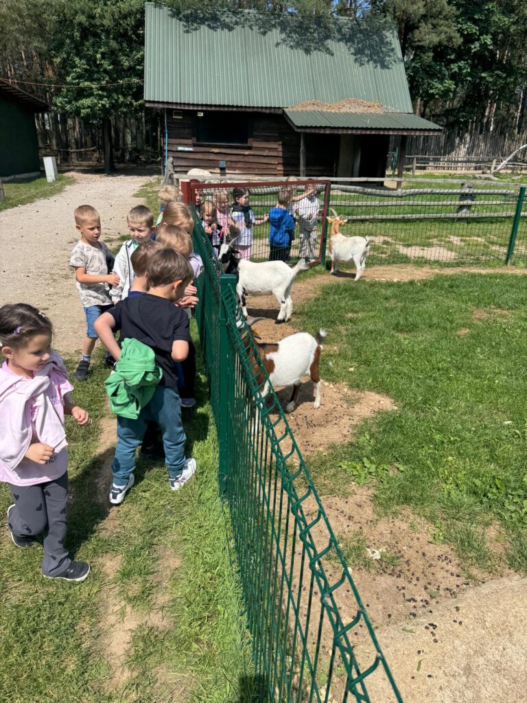 Wycieczka ,,LEŚNE ZACISZE''.