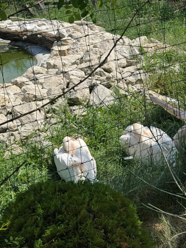 Wycieczka ,,LEŚNE ZACISZE''.