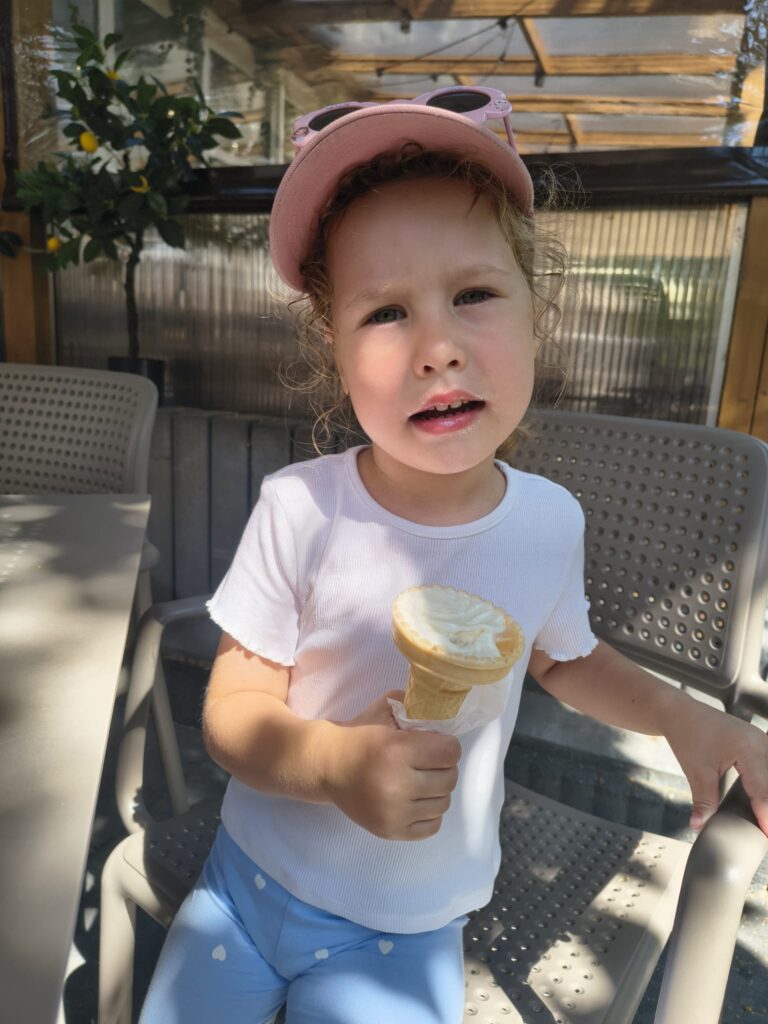 Misie jedzą lody...
