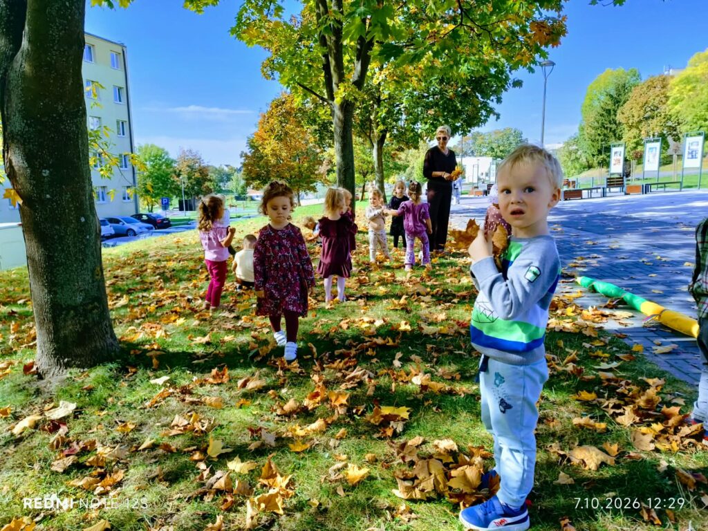 Poznajemy kolory jesieni.